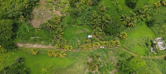 8778m² Hotel in Calibishie, Dominica No. 52 3