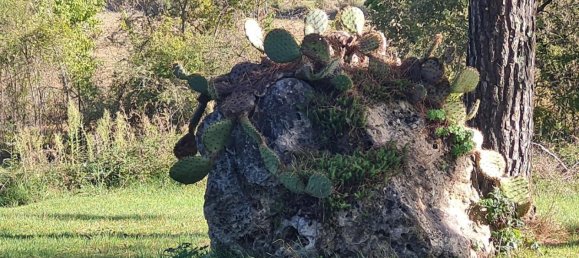 2 bedrooms House in Monteriggioni, Italy No. 65449 28