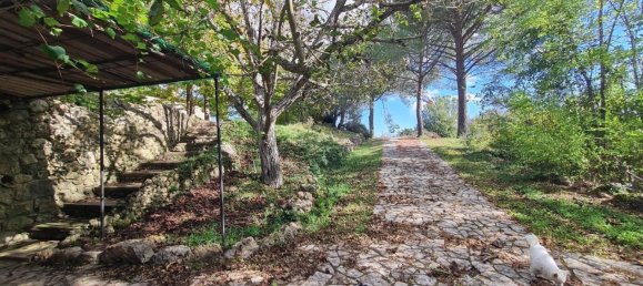 2 bedrooms House in Monteriggioni, Italy No. 65449 15