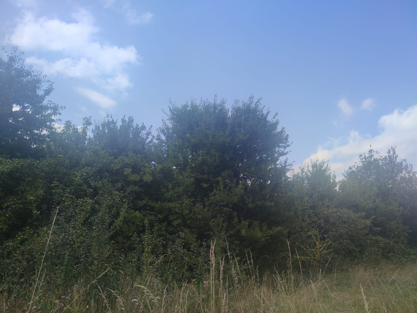 Terreno em Karlstein an der Thaya, Austria N.º 198304