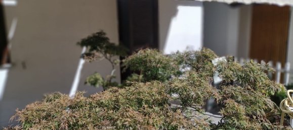 Villa de 4 divisões em Cilavegna, Italy N.º 332720 27