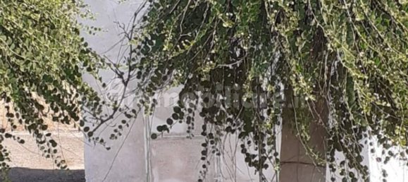 Grundstück in Crispiano, Italy 6622m², Nr. 343624 6