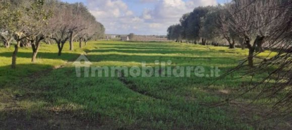 Grundstück in Crispiano, Italy 6622m², Nr. 343624 25