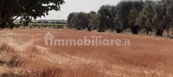 Grundstück in Crispiano, Italy 6622m², Nr. 343624 15