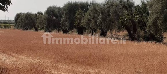 Grundstück in Crispiano, Italy 6622m², Nr. 343624 10