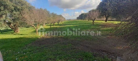 Grundstück in Crispiano, Italy 6622m², Nr. 343624 24