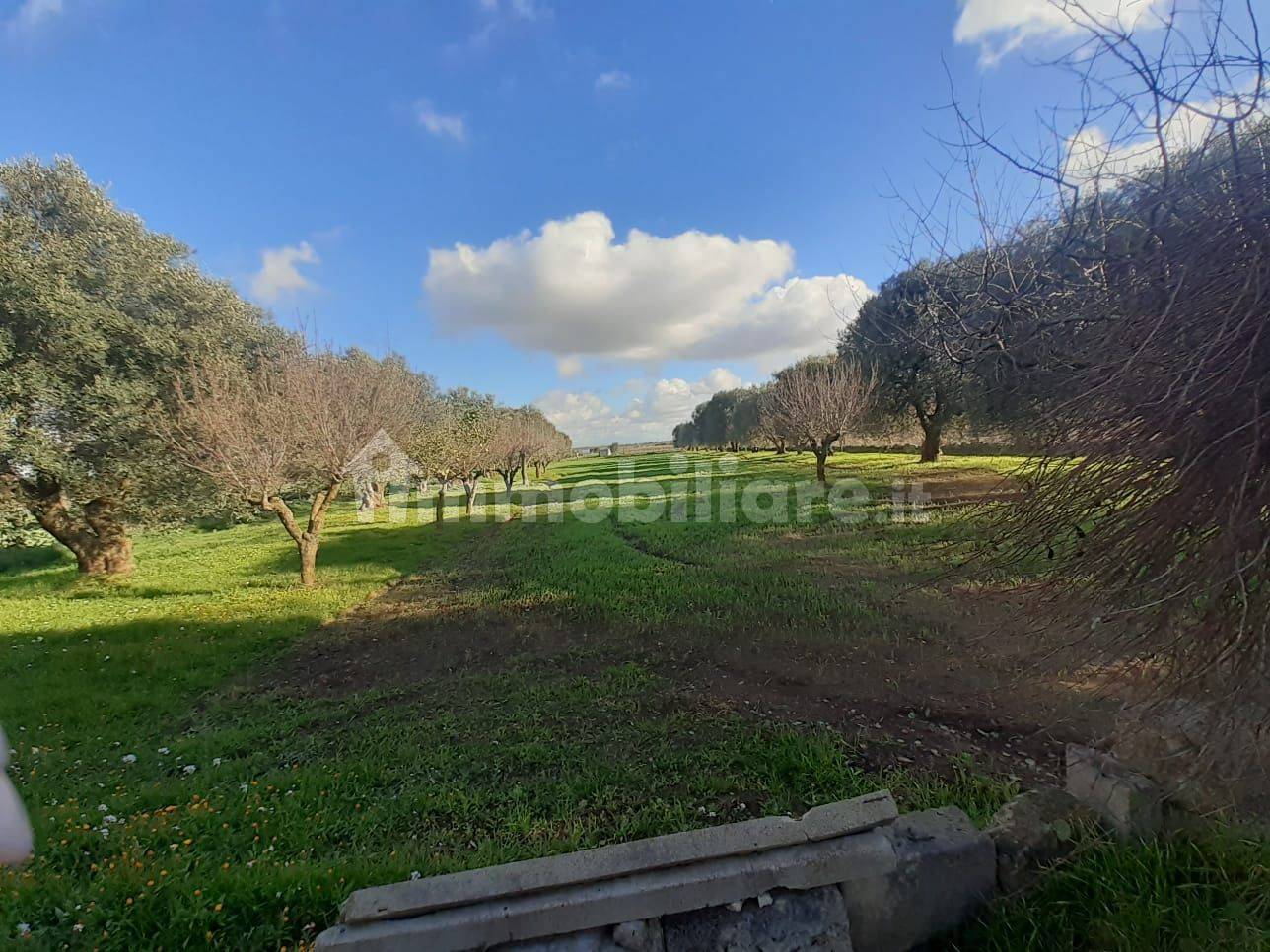 Grundstück in Crispiano, Italy 6622m², Nr. 343624