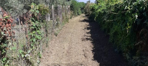 2500m² Land in Rocca di Papa, Italy No. 73651 9