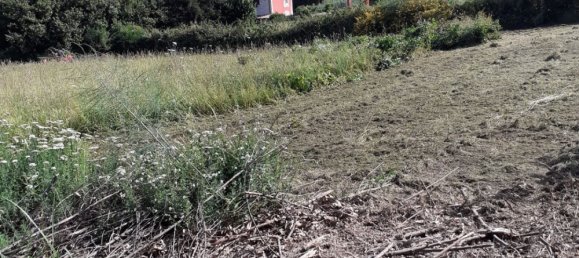 2500m² Land in Rocca di Papa, Italy No. 73651 12