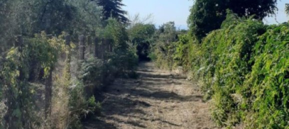 2500m² Land in Rocca di Papa, Italy No. 73651 3