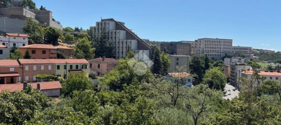 3 bedrooms Apartment in Trieste, Italy No. 273404 7