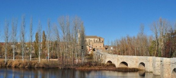 Terreno en Palencia, Spain 50000 m² No. 104178 6