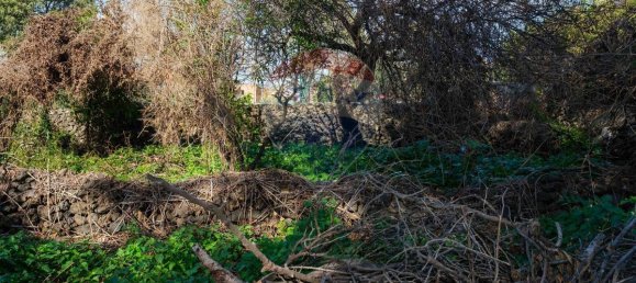 460m² Land in San Gregorio di Catania, Italy No. 84302 6