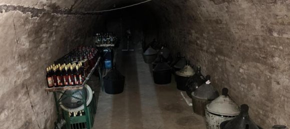 56m² Commercial property in Poysdorf, Austria No. 93977 10