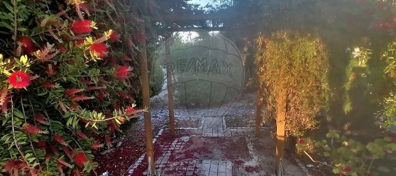 4 Schlafzimmer Haus in Santarem, Portugal, Nr. 26324 40