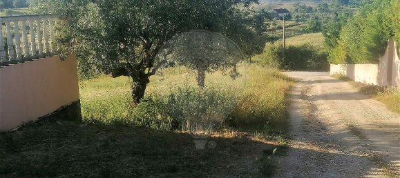 4 Schlafzimmer Haus in Santarem, Portugal, Nr. 26324 42