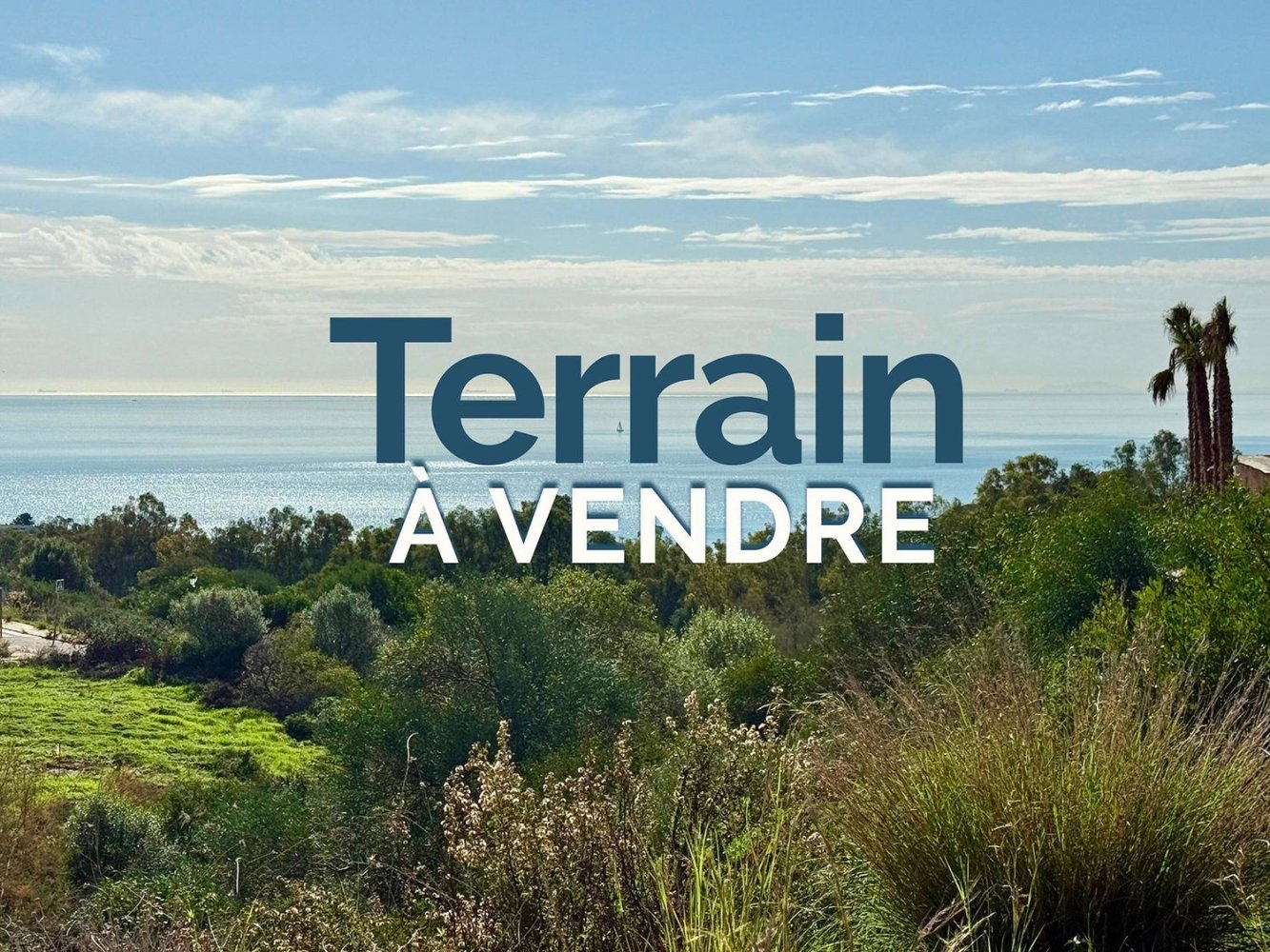 Terrain à Cadiz, Spain No. 150216