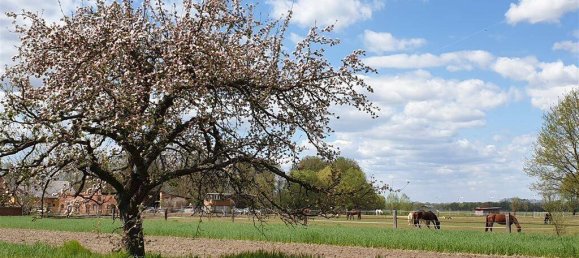 7 rooms Townhouse in Oder-Spree, Germany No. 321621 10