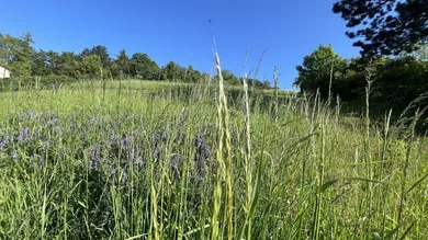 Terrain à Klosterneuburg, Austria No. 167455