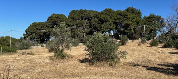 Terreno em Tuglie, Italy 2000 m² N.º 235400 8