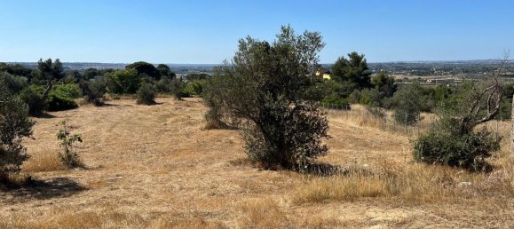 Terreno em Tuglie, Italy 2000 m² N.º 235400 21