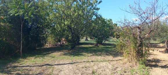 8 bedrooms House in Catignano, Italy No. 313249 11