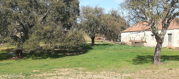 Terreno em Santiago do Cacém, Portugal N.º 189946 13