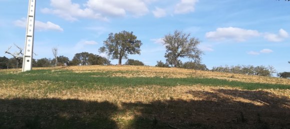 Terreno em Santiago do Cacém, Portugal N.º 189946 9