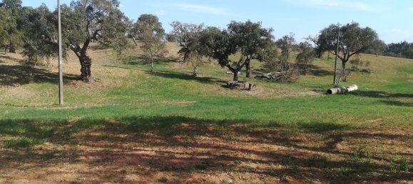 Terreno em Santiago do Cacém, Portugal N.º 189946 16