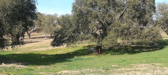 Terreno em Santiago do Cacém, Portugal N.º 189946 14