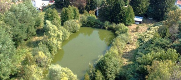 4غرفة منزل في Stegersbach, Austria رقم 112910 5