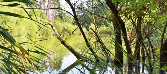 4غرفة منزل في Stegersbach, Austria رقم 112910 6