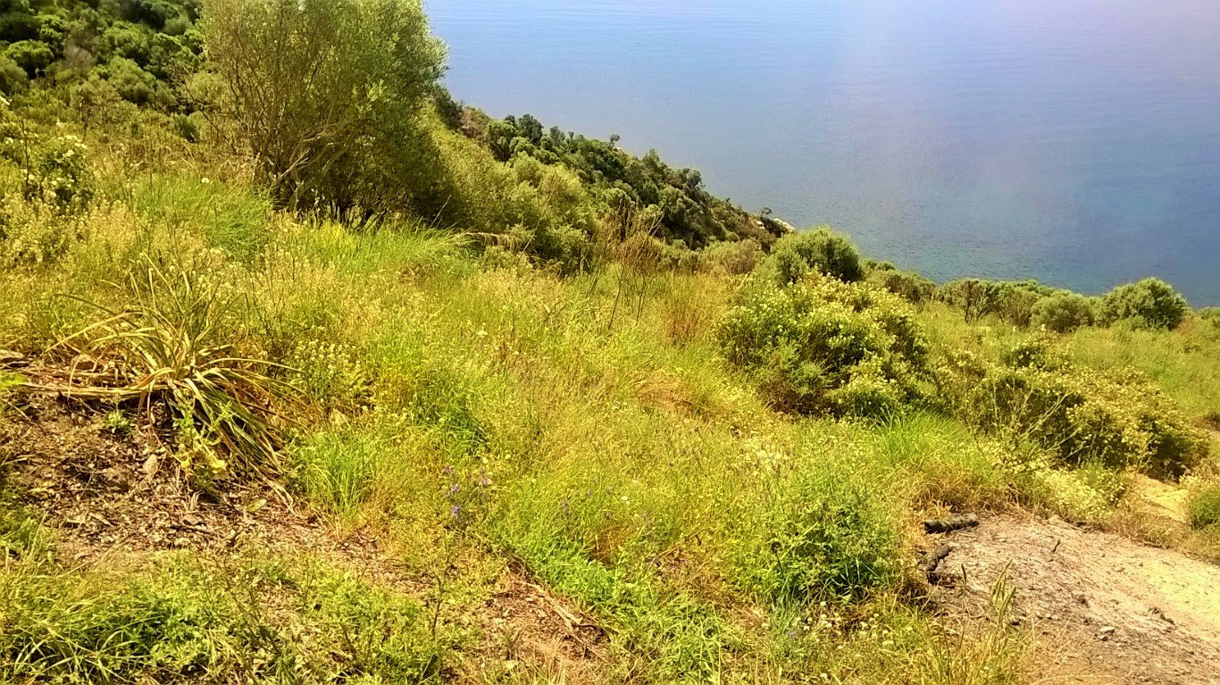 Hotel em Chalkidiki, Greece 17720 m² N.º 6279