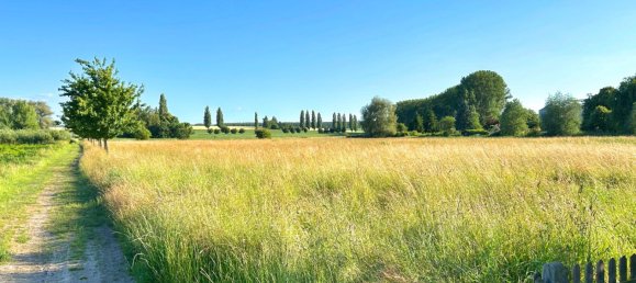 8-Zimmer Haus in Unstrut-Hainich-Kreis, Germany, Nr. 19112 11