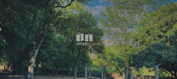 3 Schlafzimmer Haus in Ponte de Lima, Portugal, Nr. 52867 19