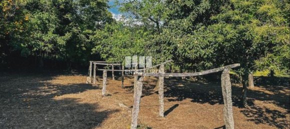 3 Schlafzimmer Haus in Ponte de Lima, Portugal, Nr. 52867 22