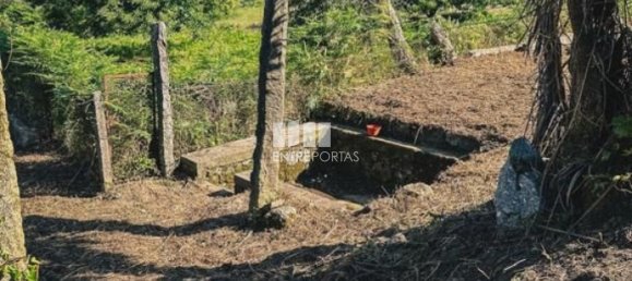 3 Schlafzimmer Haus in Ponte de Lima, Portugal, Nr. 52867 8