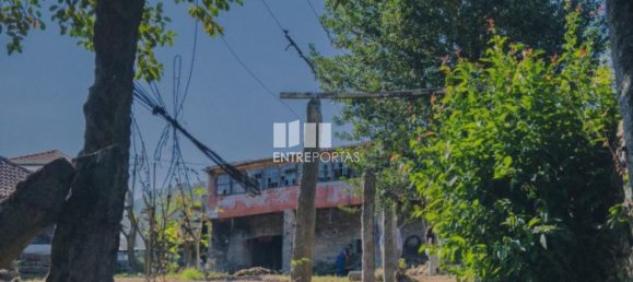 3 Schlafzimmer Haus in Ponte de Lima, Portugal, Nr. 52867 18