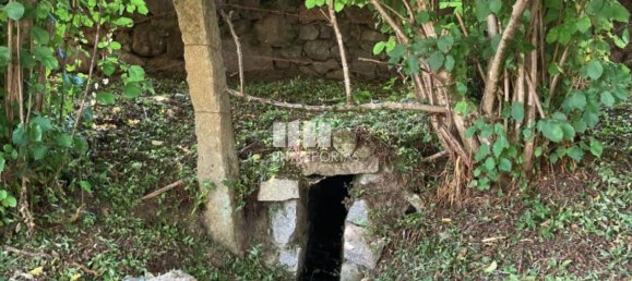 3 Schlafzimmer Haus in Ponte de Lima, Portugal, Nr. 52867 9