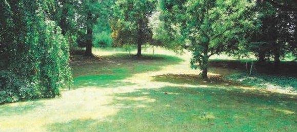 Villa de 6 habitaciónes en Boffalora sopra Ticino, Italy No. 336882 29