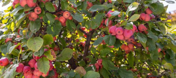 Дом с 4 комнатами в Дельменхорст, Германия № 358509 49