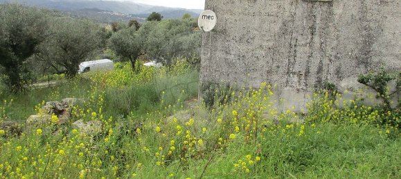 2 bedrooms House in Celorico da Beira, Portugal No. 30009 7