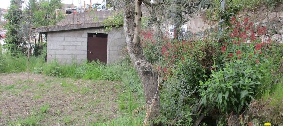 2 bedrooms House in Celorico da Beira, Portugal No. 30009 15