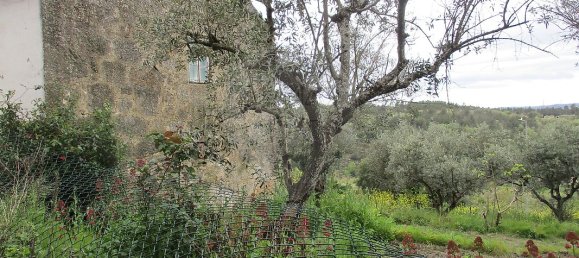 2 bedrooms House in Celorico da Beira, Portugal No. 30009 10