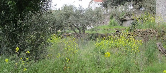 2 bedrooms House in Celorico da Beira, Portugal No. 30009 11