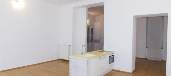 Studio in Rudolfsheim-Funfhaus, Austria No. 251966 4