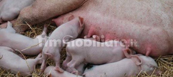 Hotel in Valeggio sul Mincio, Italy 35000m², Nr. 326173 8