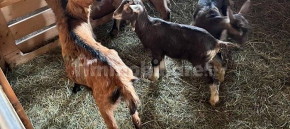 Hotel in Valeggio sul Mincio, Italy 35000m², Nr. 326173 7