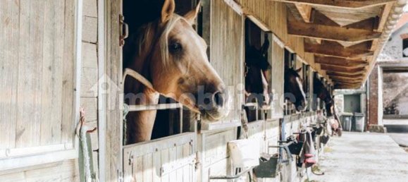 Hotel in Valeggio sul Mincio, Italy 35000m², Nr. 326173 4