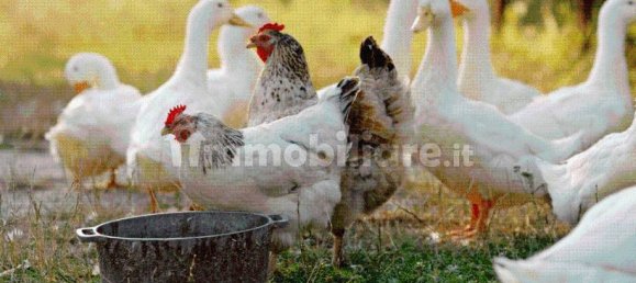 Hotel in Valeggio sul Mincio, Italy 35000m², Nr. 326173 2